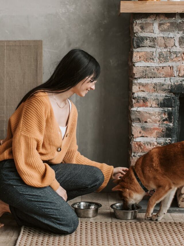 Melhores Rações para Cães