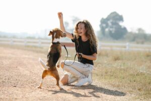 comandos básicos e avançados aos cães.